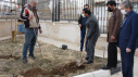 کاشت درخت توسط سرپرست دانشگاه جامع علمی کاربردی