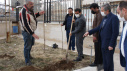 کاشت درخت توسط سرپرست دانشگاه جامع علمی کاربردی