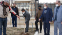 کاشت درخت توسط سرپرست دانشگاه جامع علمی کاربردی