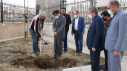 کاشت درخت توسط سرپرست دانشگاه جامع علمی کاربردی