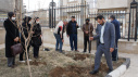 کاشت درخت توسط سرپرست دانشگاه جامع علمی کاربردی