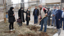 کاشت درخت توسط سرپرست دانشگاه جامع علمی کاربردی