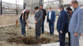 کاشت درخت توسط سرپرست دانشگاه جامع علمی کاربردی