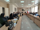 تصویب برنامه های درسی نیازمحور جدید در چهارمین جلسه کمیسیون برنامه ریزی درسی استان زنجان